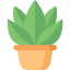 072-plant.png  by anash
