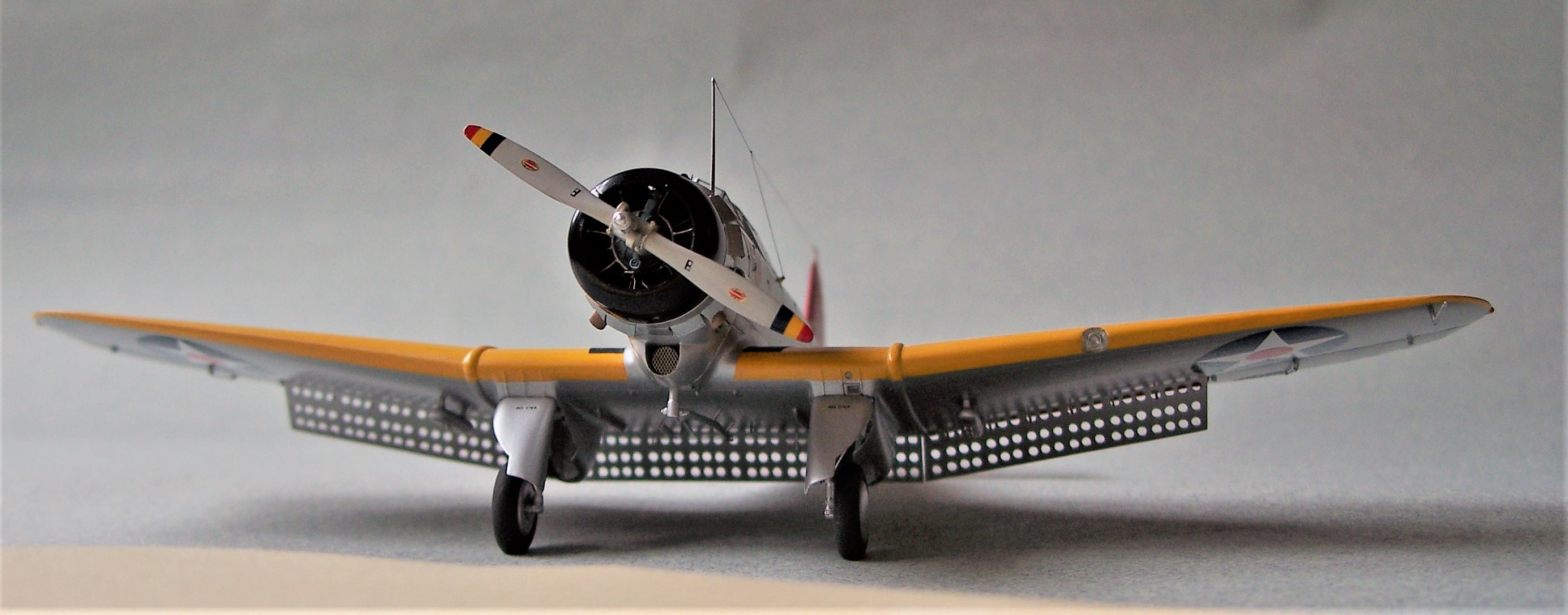 BT-1_5.JPG  by Rogerhold