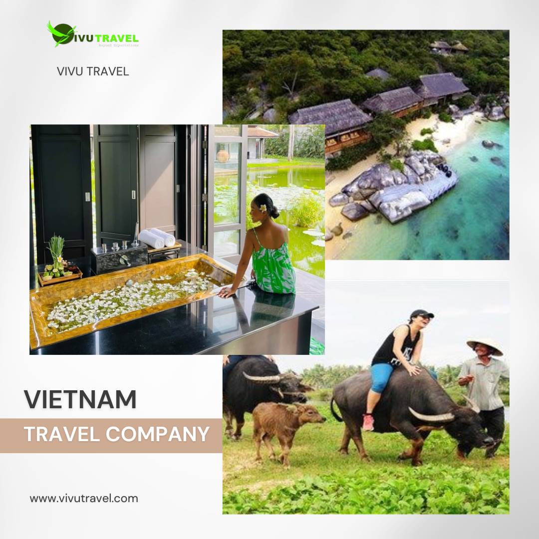 Vietnam Travel Company.png Start your beautiful journey with this agency for a lifetime memory with your loved ones. For more details, visit our site at : 
https://www.vivutravel.com/ by Vivutravelvn