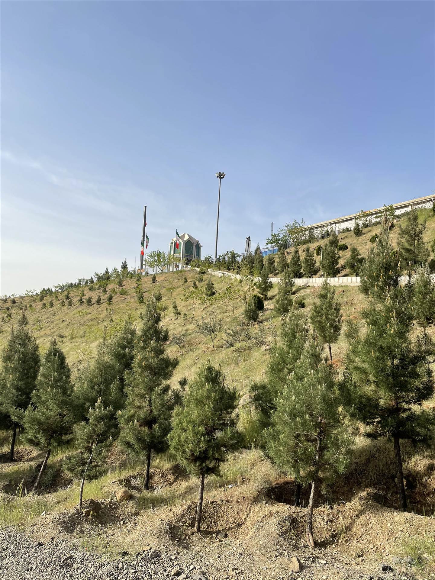 unnamed.jpg  by parsa