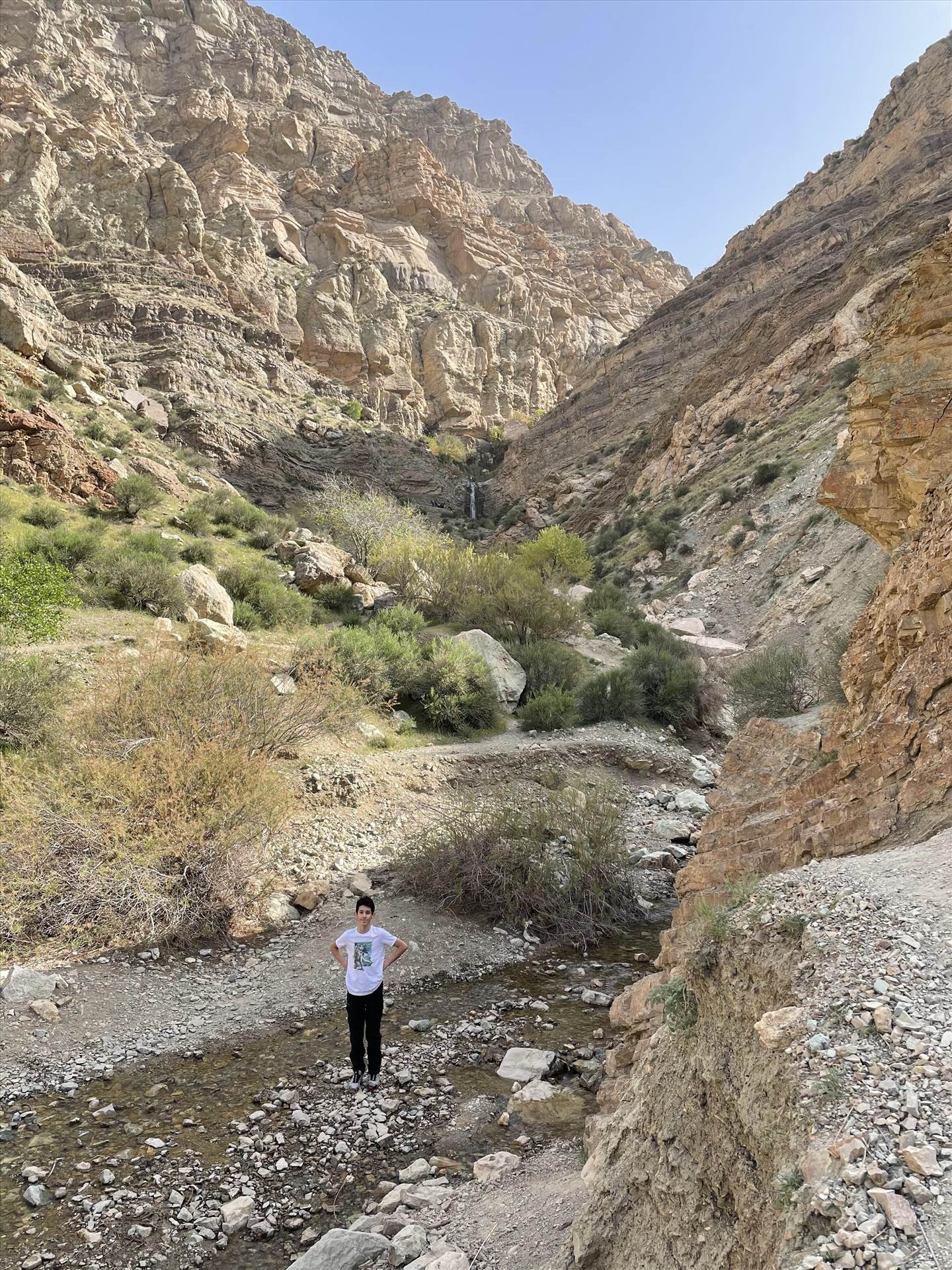 unnamed (3).jpg  by parsa