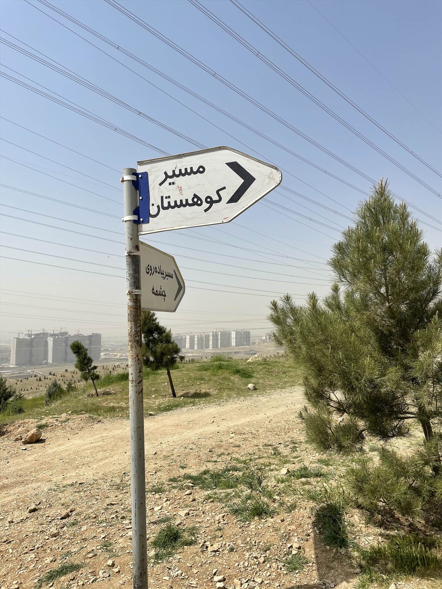 unnamed (1).jpg  by parsa