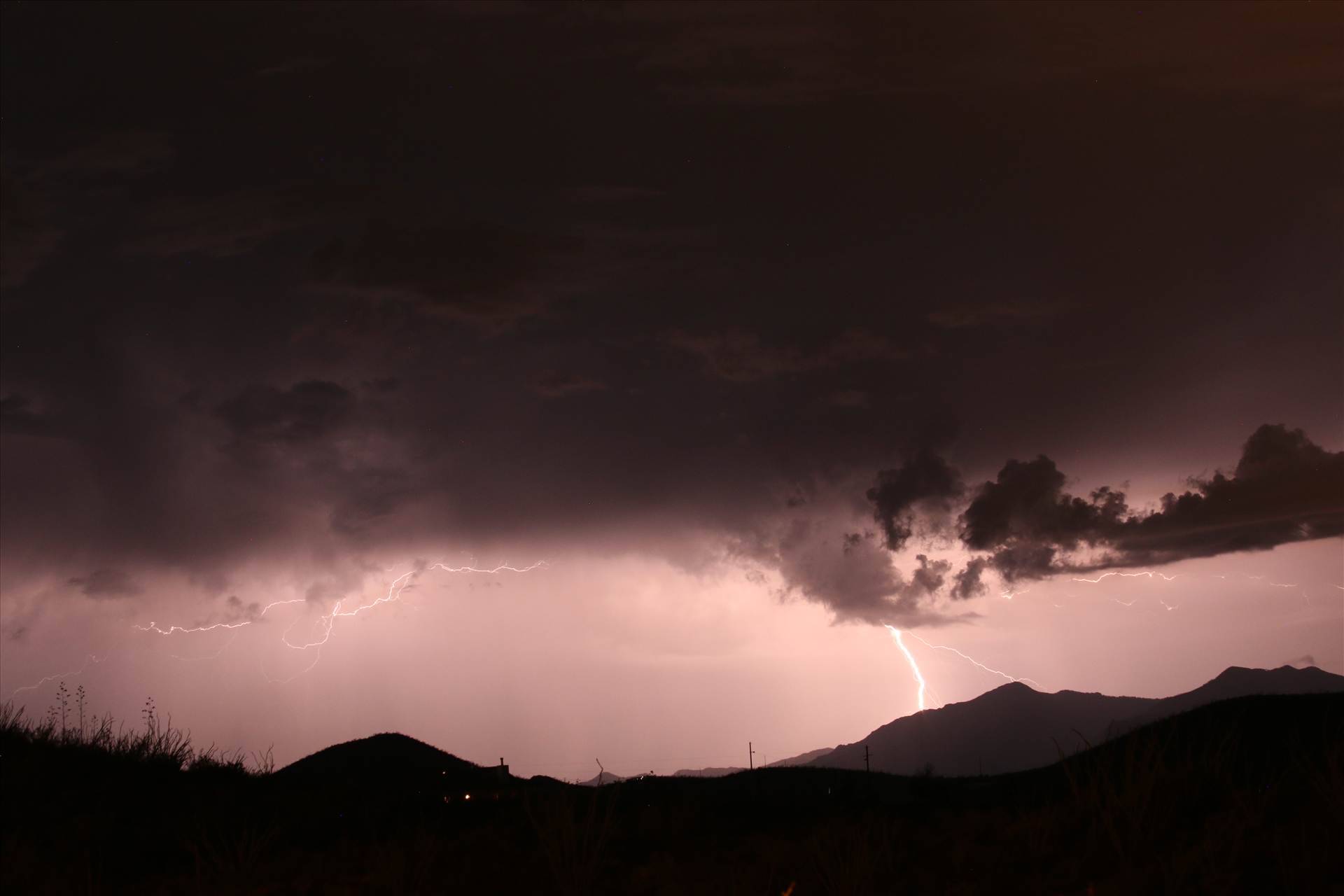 IMG_8356.JPG  by WPC-218