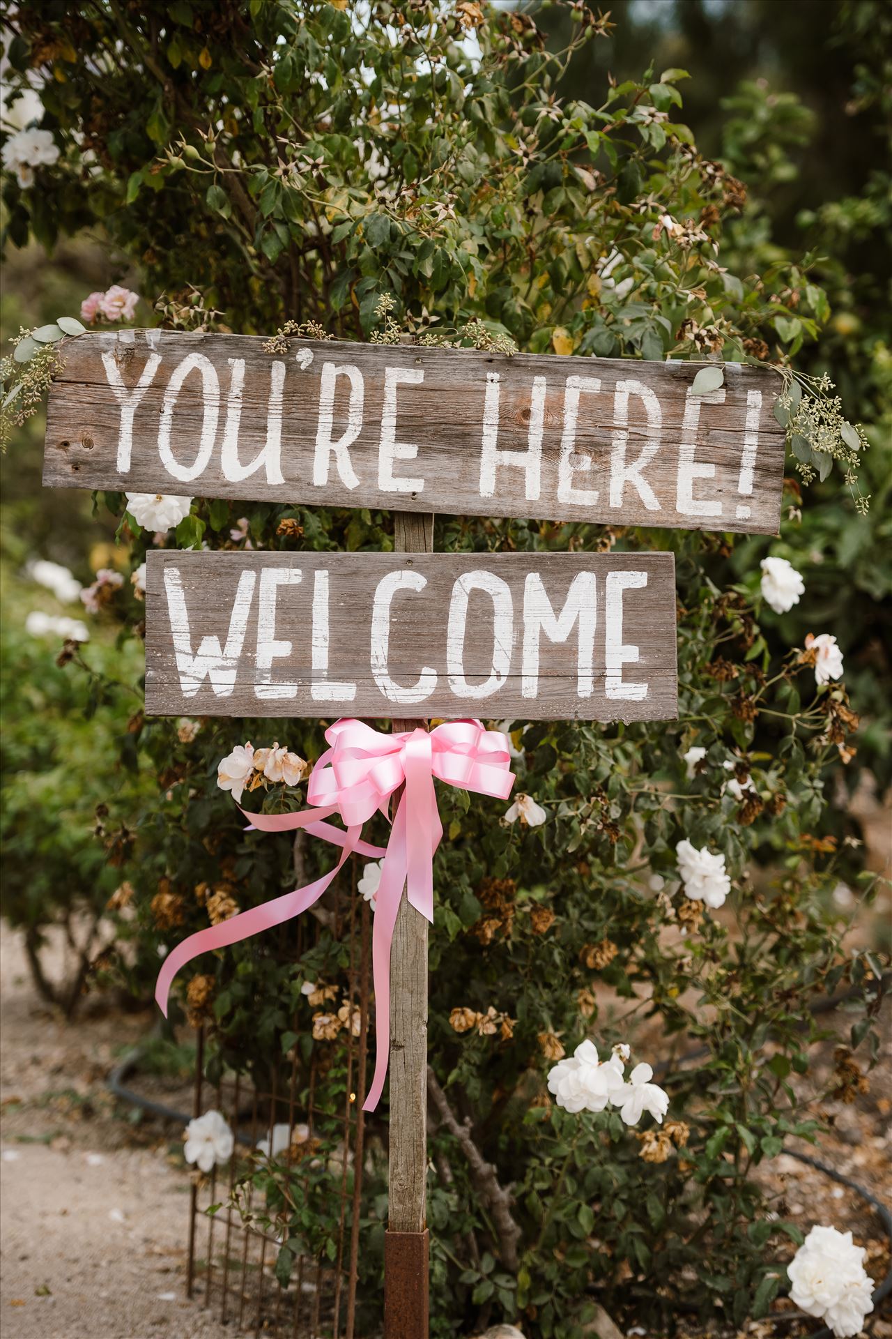 Final-8216.jpg  by JamesandLindsay