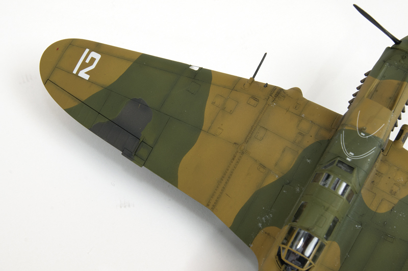 a_DSC0844.jpg  by Roman Schilhart