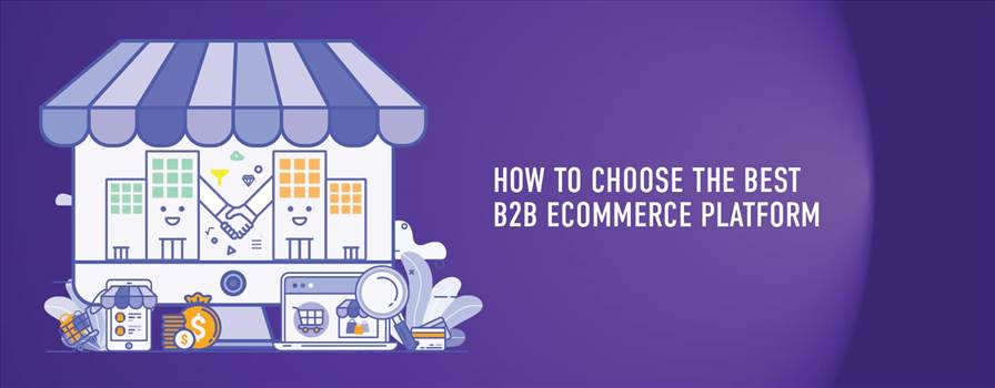 How-to-choose-the-Best-B2B-eCommerce-Platform.jpeg by ziffity
