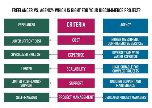 Freelancer vs Agency which is right for your bigcommerce project.jpeg - 