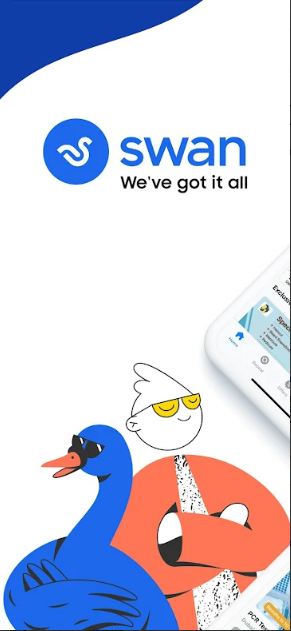 Capture.JPG  by swaninc