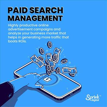 Paid Search Management.jpg by digitalsprink