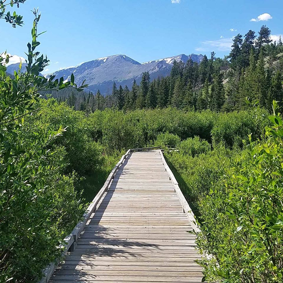 Colorado RMNP Path.jpg  by 405Exposure