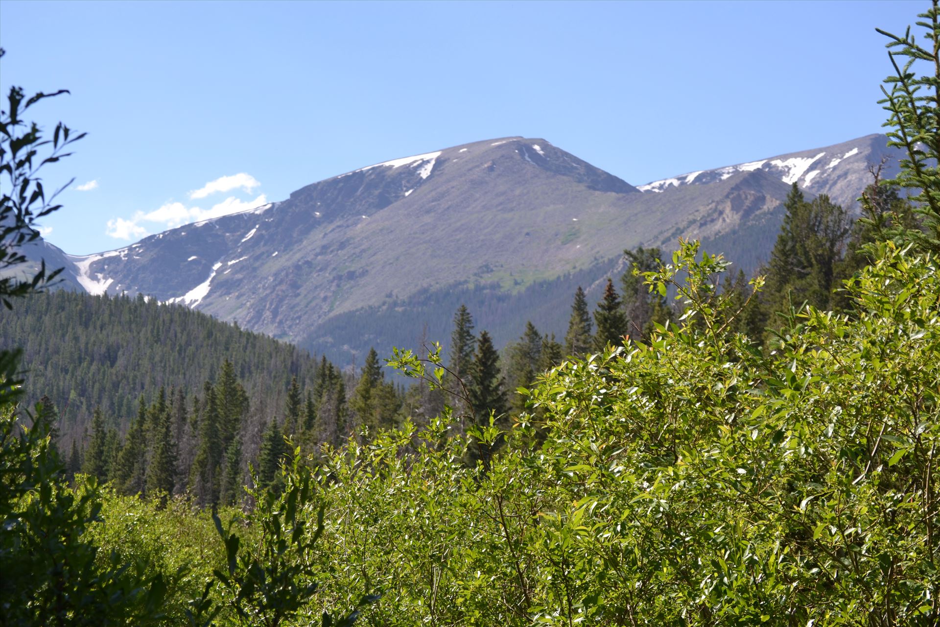 DSC_0277.JPG  by 405Exposure