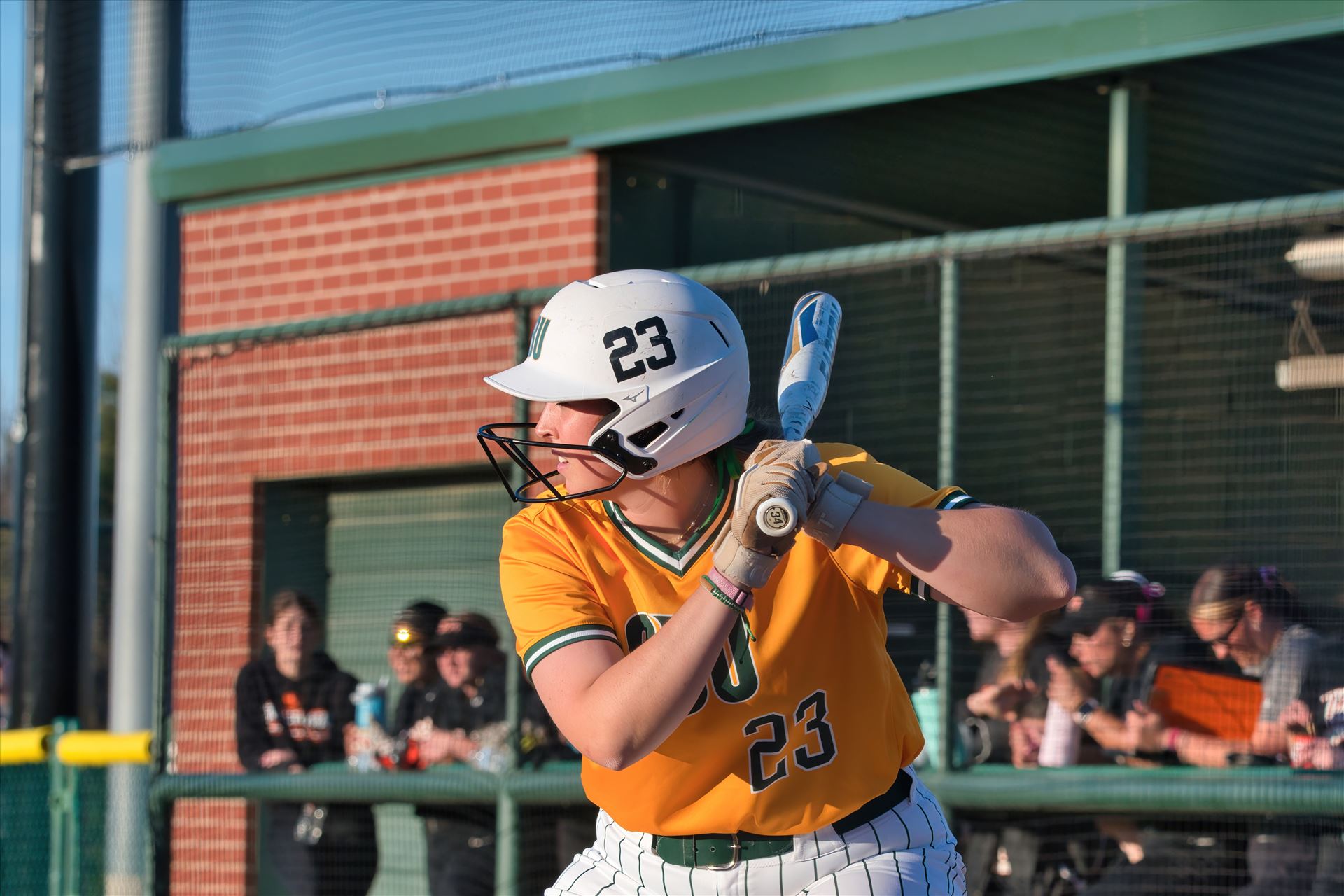 OBU_2024_ECU__18.jpg  by 405Exposure