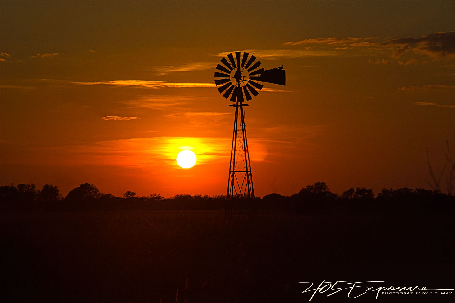 DSC_0342.jpg  by 405Exposure