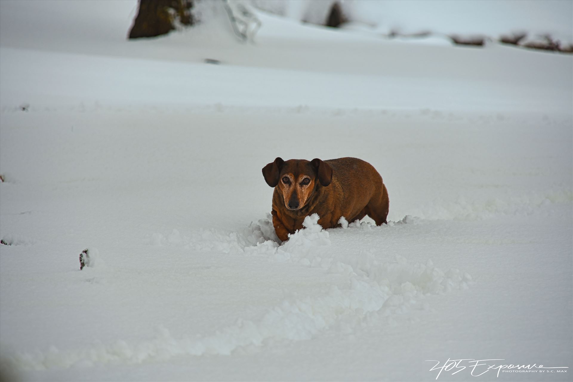 K on New Year's Day 2021.jpg  by 405Exposure