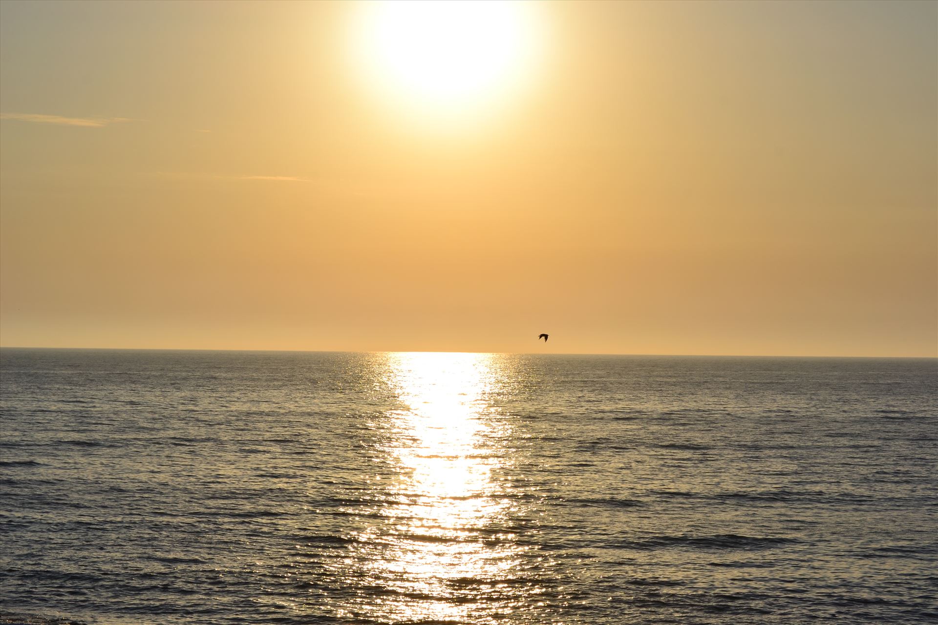 CA Sunset 3.JPG I took an abundant amount of these sunsets!  Never forget them. by 405Exposure