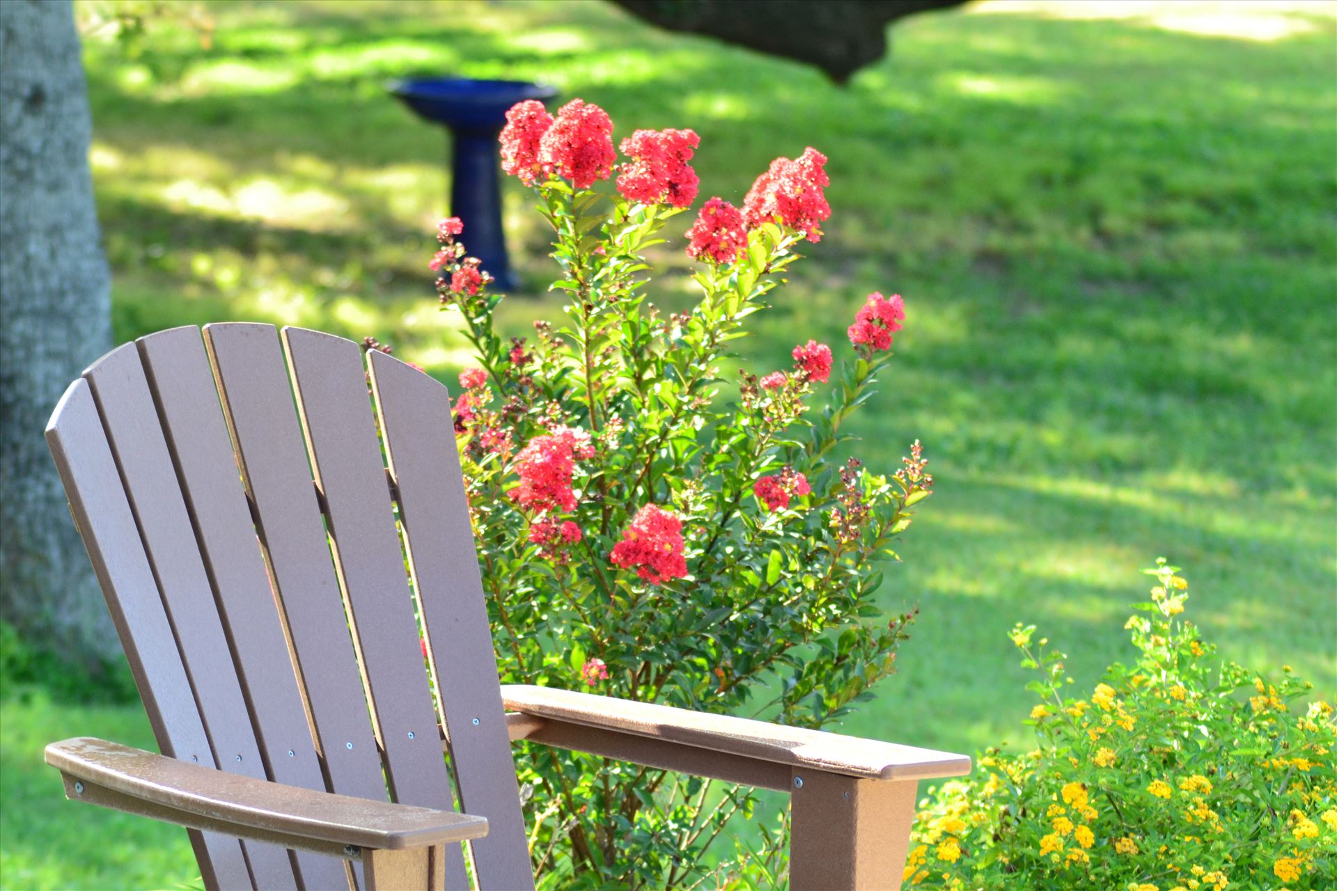 Lonesome Dove Fire Pit Chair.JPG  by 405Exposure