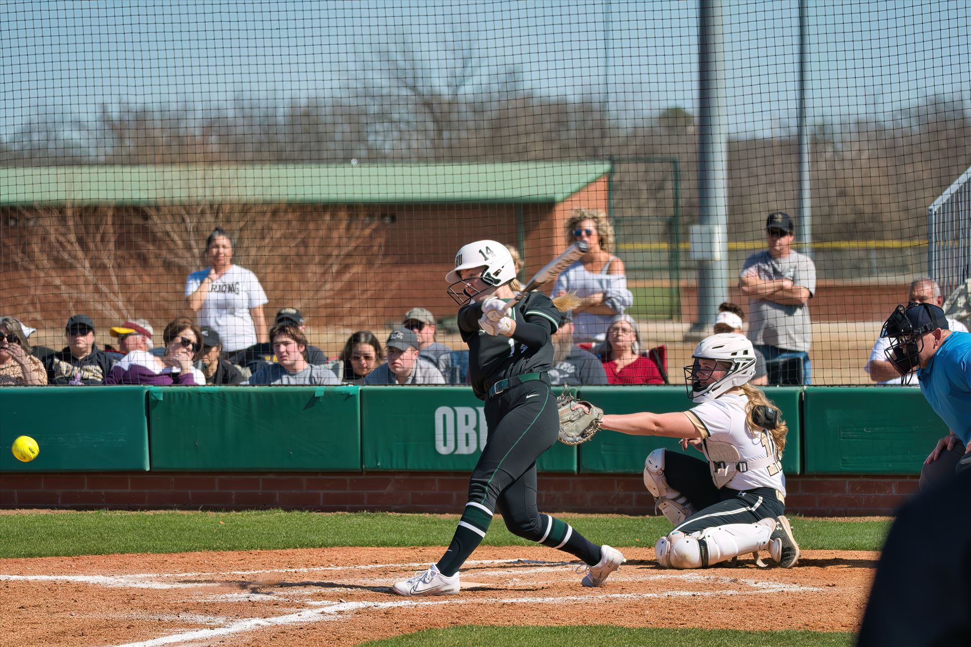 OBU_2024_Harding__124.jpg  by 405Exposure