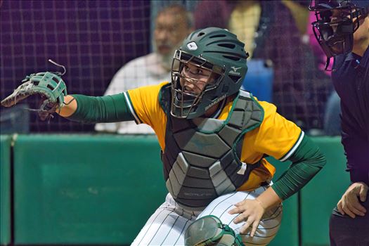 OBU_2024_Harding__65.jpg - 