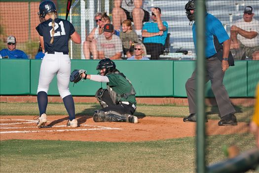 OBU_Fall_24_Rose_St_Scrimmage__46.jpg - 