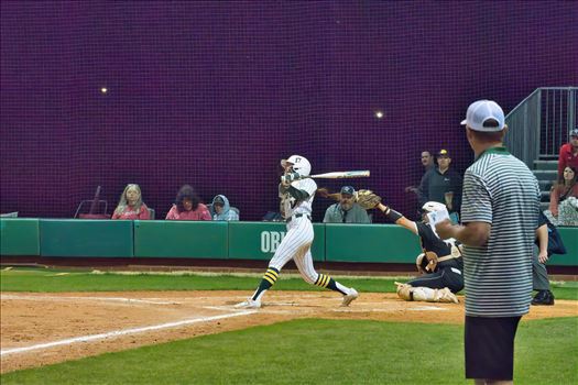 OBU_2024_SNU__41.jpg - 