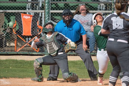 OBU_2024_NEOSU__270.jpg - 