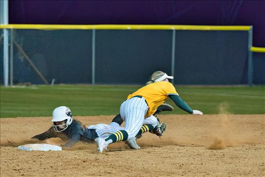 OBU_2024_Harding__64.jpg - 