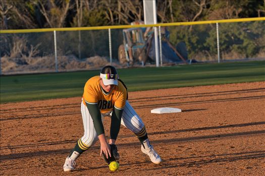 OBU_2024_Harding__49.jpg - 