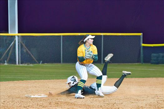 OBU_2024_Harding__81.jpg - 