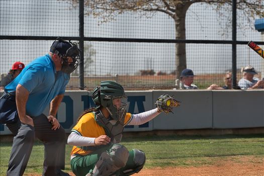 OBU_2024_SWOSU__132.jpg - 