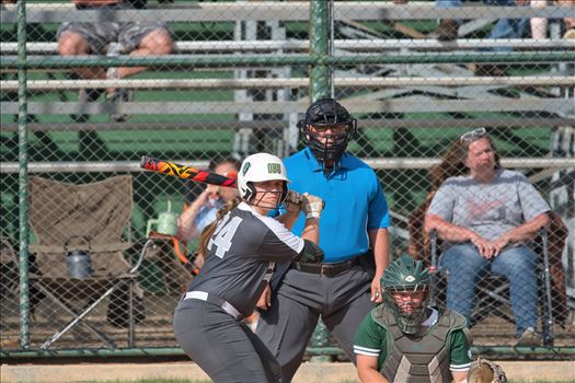 OBU_2024_NEOSU__221.jpg - 