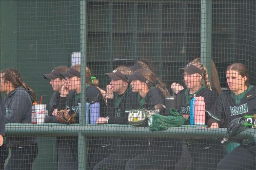 OBU_2024_Henderson__443.jpg - 