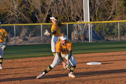 OBU_2024_Harding__40.jpg - 