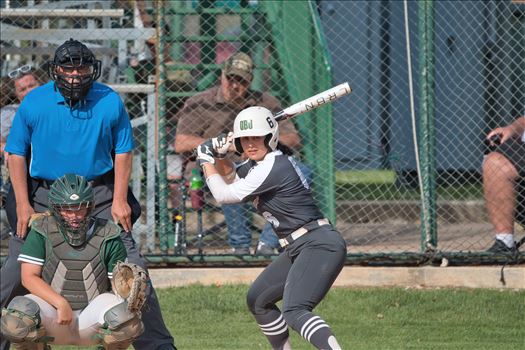 OBU_2024_NEOSU__310.jpg - 