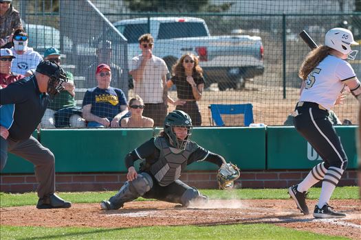 OBU_2024_Harding__142.jpg - 