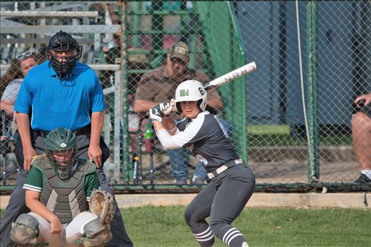 OBU_2024_NEOSU__309.jpg - 