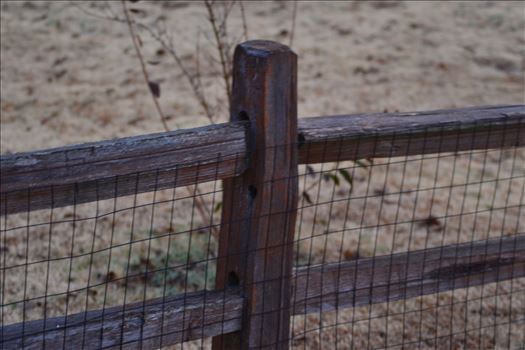 Backyard Fence 2.JPG by 405 Exposure