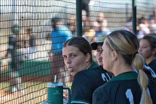 OBU_2024_Harding__114.jpg - 