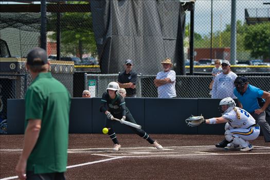 OBU_2024_GAC_Tourney__228.jpg - 