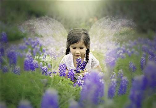 khloefairyfinal.jpg - 