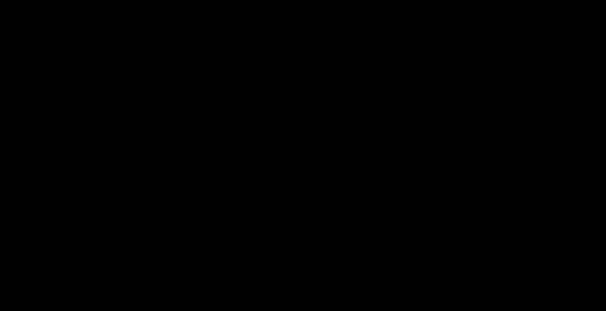 Logo Volcan-09.png - 