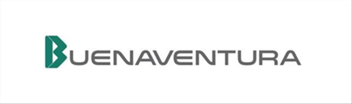 logo-BVN.png - 