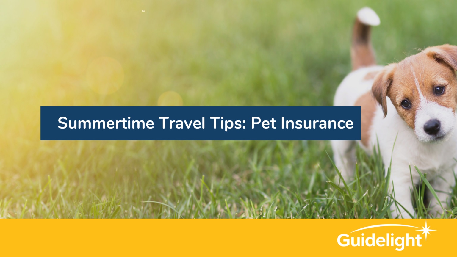 Summertime Travel Tips-Pet Insurance.jpg  by Guidelight