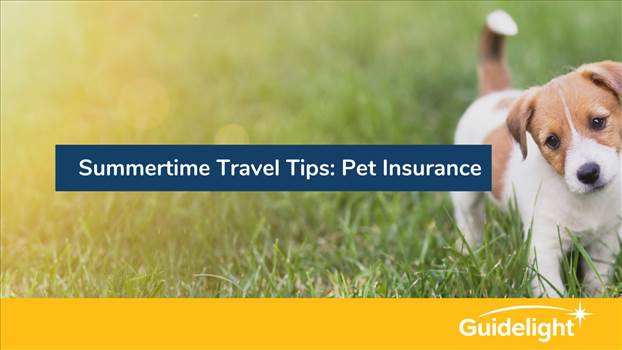 Summertime Travel Tips-Pet Insurance.jpg by Guidelight