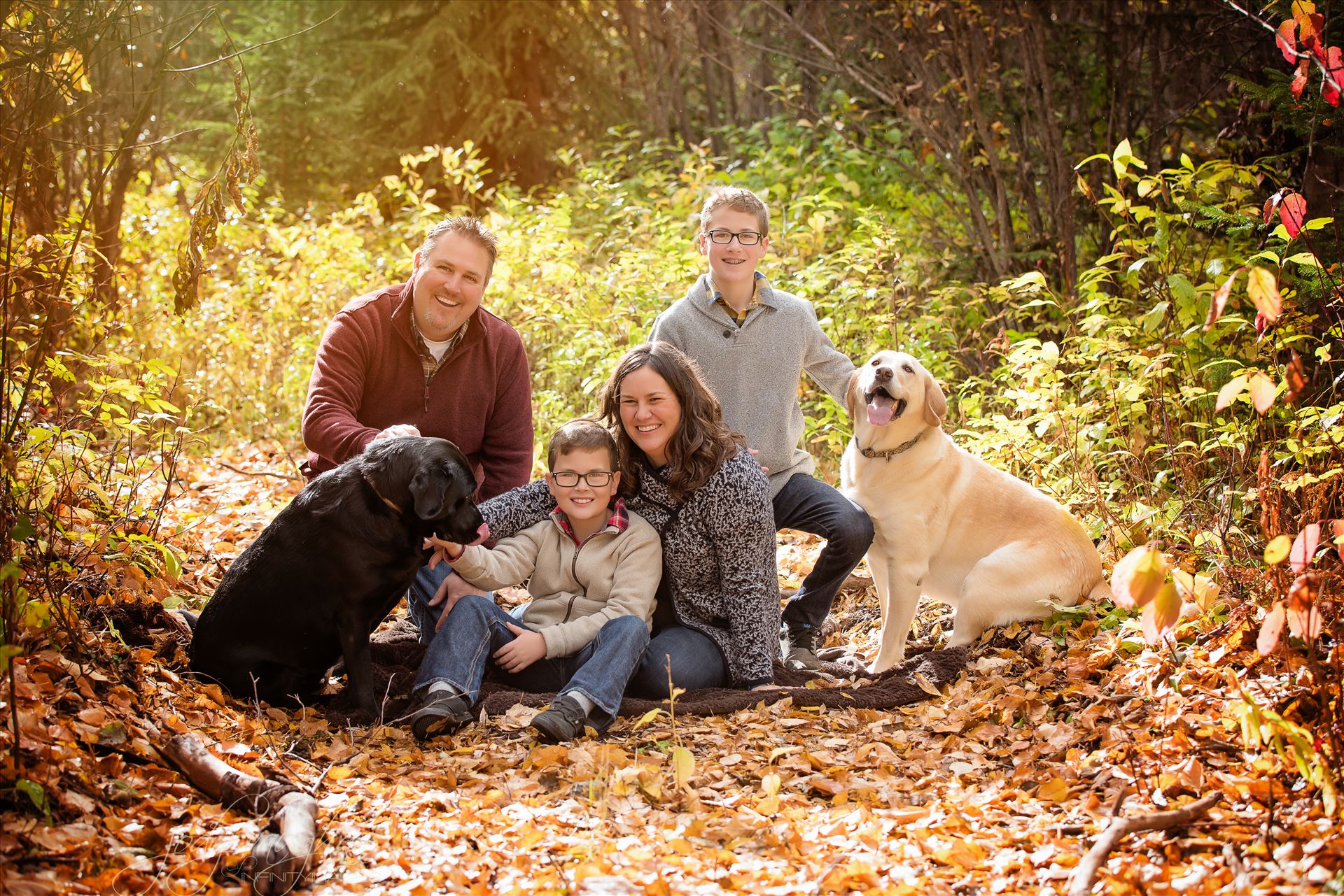family 36  by Jody Vaughan Infinity Images