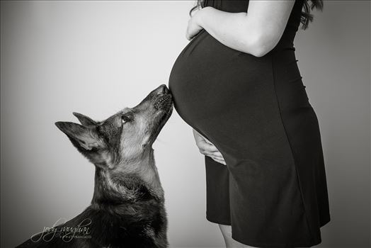 maternity 26 by Jody Vaughan Infinity Images
