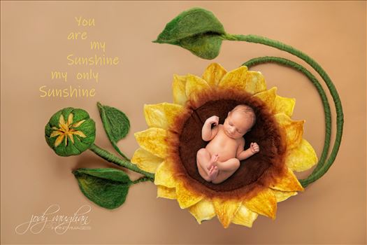 Newborn 20 by Jody Vaughan Infinity Images