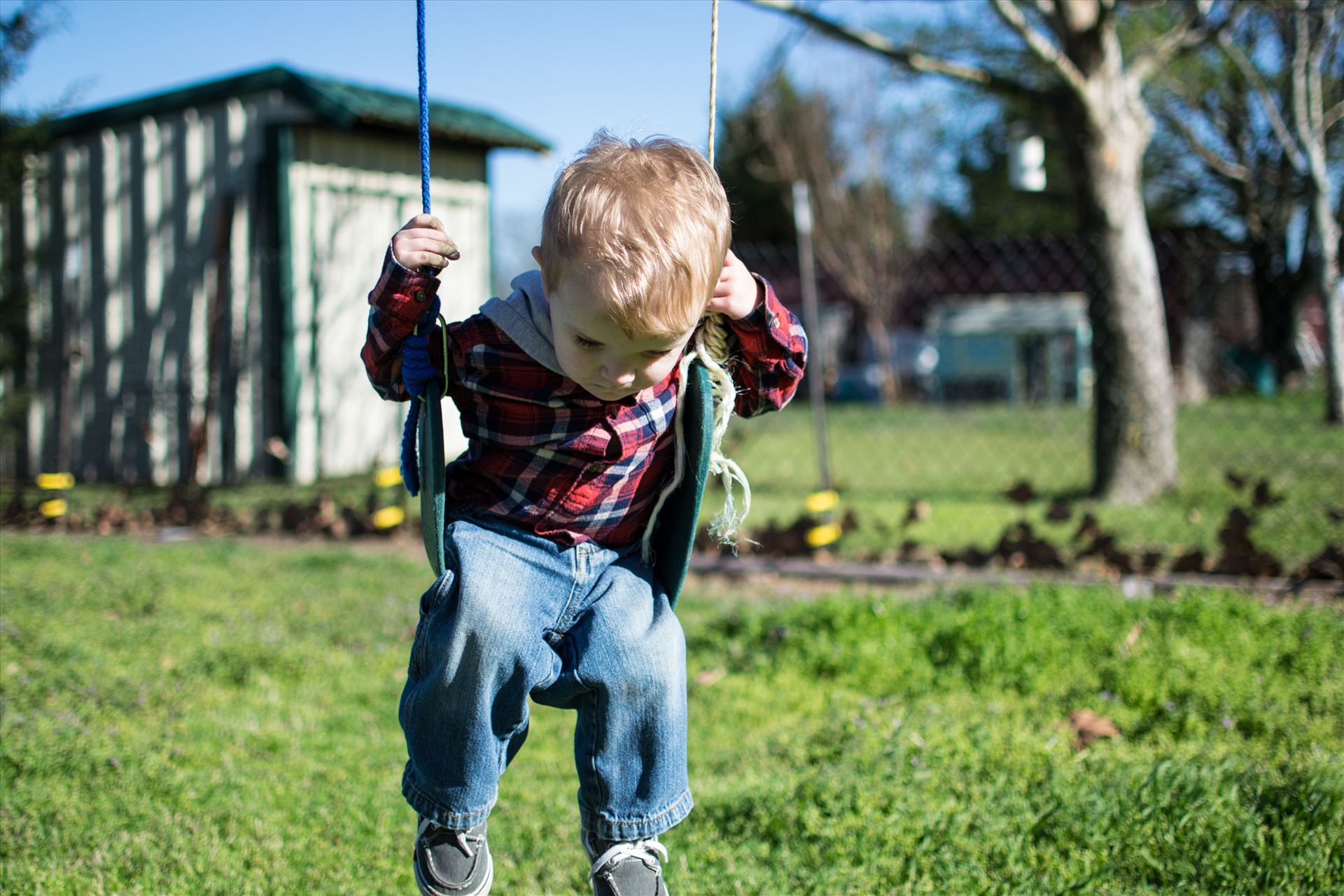 On the Swing  by Unbound Photography