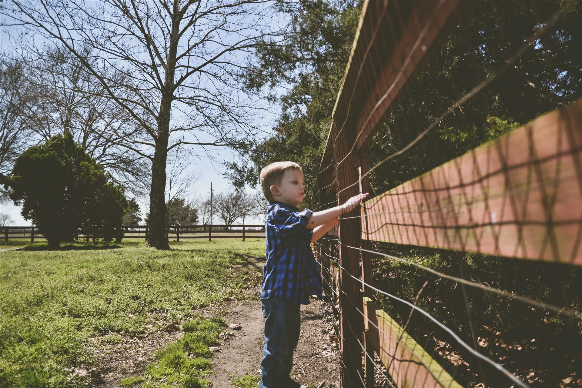 Looking through the fence  by Unbound Photography