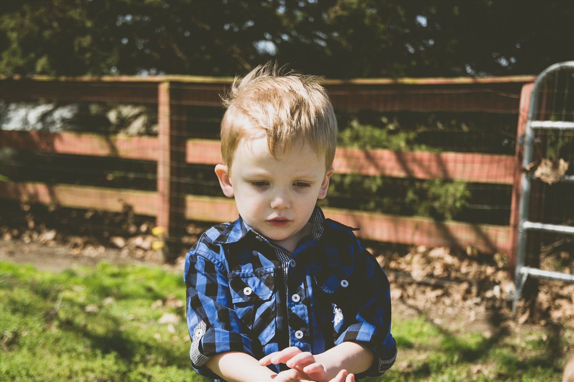 Such a sweet boy  by Unbound Photography