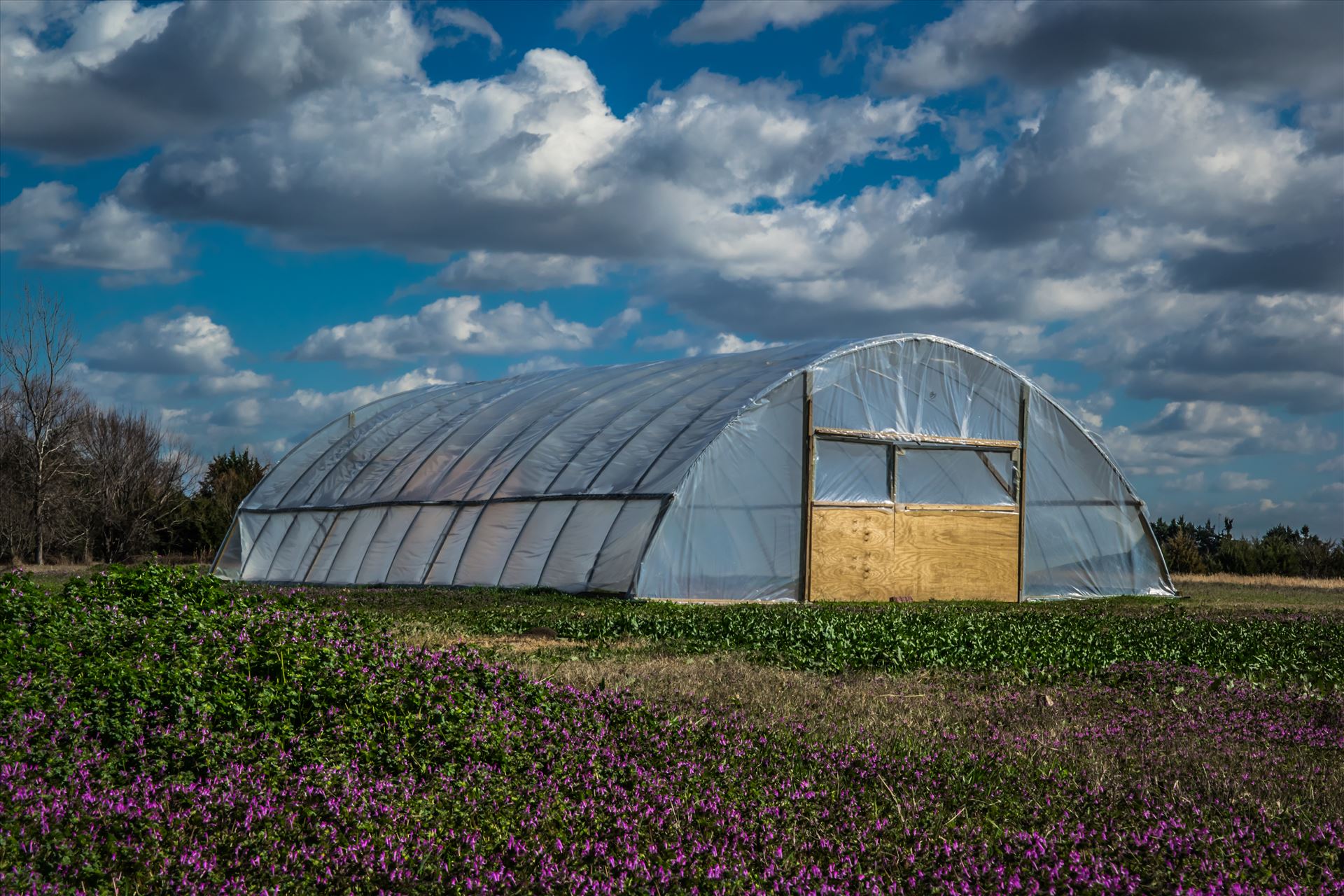Greenhouse  by Unbound Photography